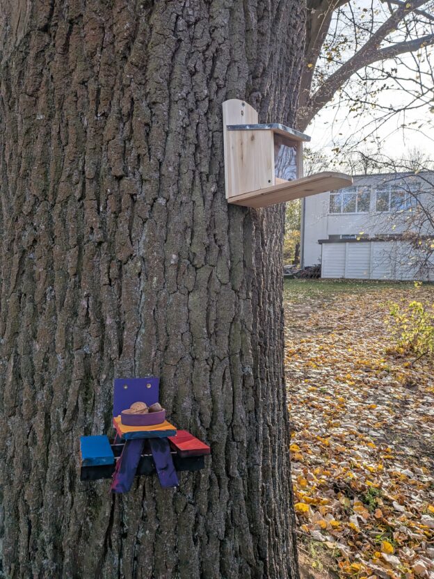 Futter für die Eichhörnchen